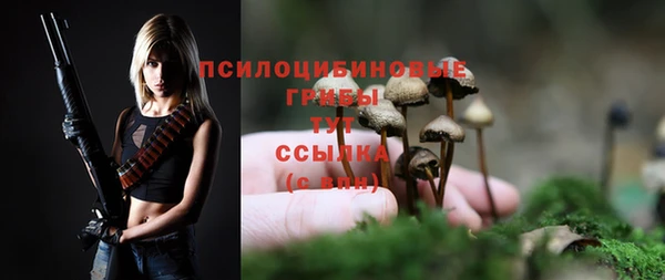 PSILOCYBIN Надым