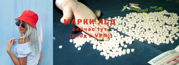 СК Болохово