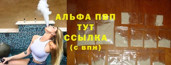 PSILOCYBIN Надым
