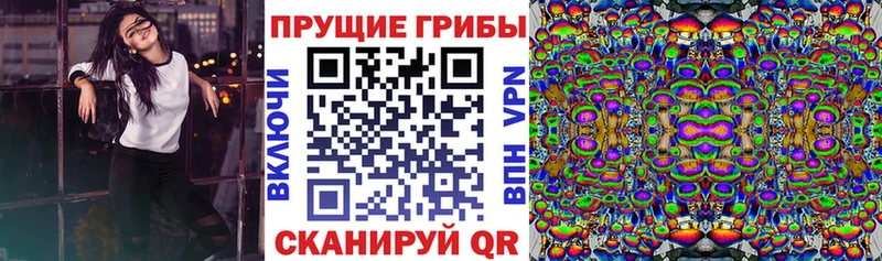 Галлюциногенные грибы Psilocybine cubensis  ОМГ ОМГ tor  Покачи 